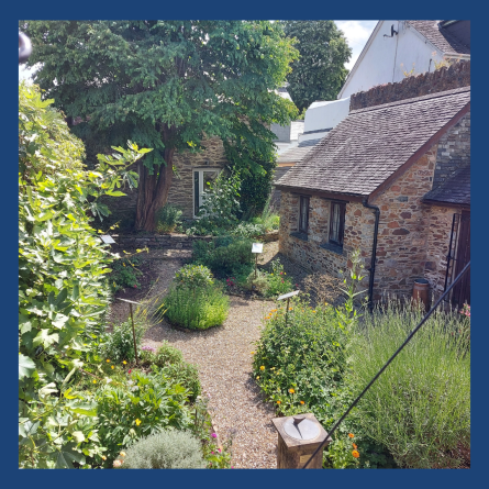 An image of Totnes Museum's garden looking back towards the museum